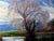 Post War American Impressionist Southwest Landscape "Taos Splendor" by Walter A. Bailey For Sale - Image 10 of 16
