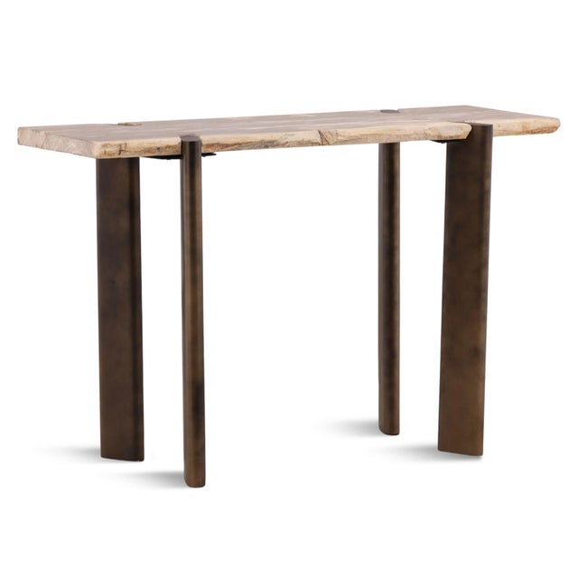 Showcasing the remarkable character of petrified wood, this console table blends ancient natural beauty with contemporary...