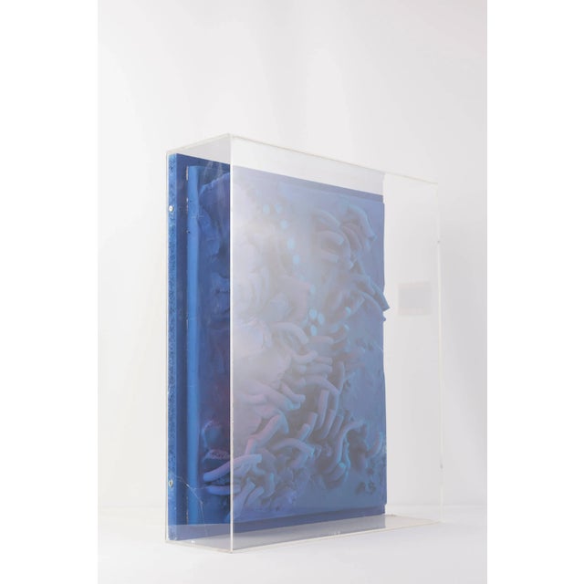 Plastic Wall Sculpture with Optical Art in Acrylic Glass by César Bailleux, 1980s For Sale - Image 7 of 8