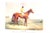 "The Racing World and Its Inhabitants" 1904 Watson, Alfred E. T. For Sale - Image 11 of 12