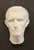 Vintage Italian Plaster Roman Head – Grand Tour Souvenir. For Sale - Image 4 of 5