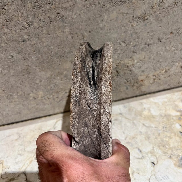 Early 20th Century French Vintage Mesquite Wood Circle Disc Pulley For Sale - Image 5 of 7