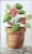 It’s time to think about planting, about beautiful flowers in terra cotta pots. Signed Watercolor of a potted plant in oak...