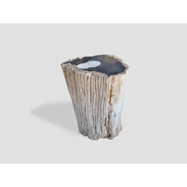 Andrianna Shamaris Abstract High Quality Petrified Wood Side Table For Sale - Image 17 of 18