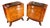 Art Deco Mahogany and Macassar Ebony Bedside Tables, 1920s, Set of 2 For Sale