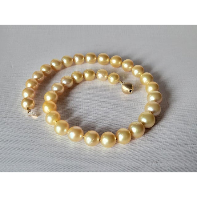 Metal South Sea Golden Pearls Necklace With 14k Gold Clasp For Sale - Image 7 of 11