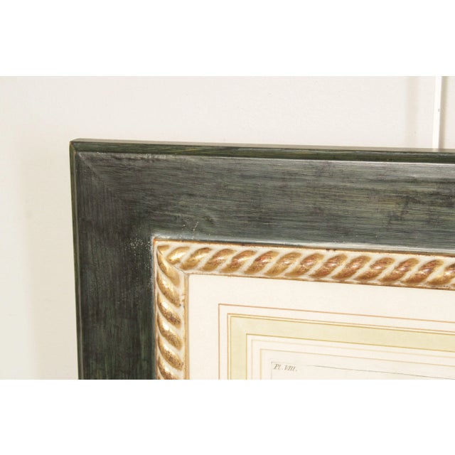 Mid 20th Century Botanical Illustration Foliate Berry Colored Engraving, Custom Framed For Sale - Image 5 of 13