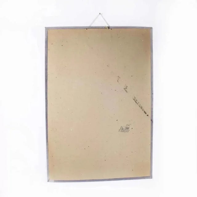 1960’s Lizard Educational Poster. 20th century Czechoslovakian educational chart. A rare and vintage wall chart from the...