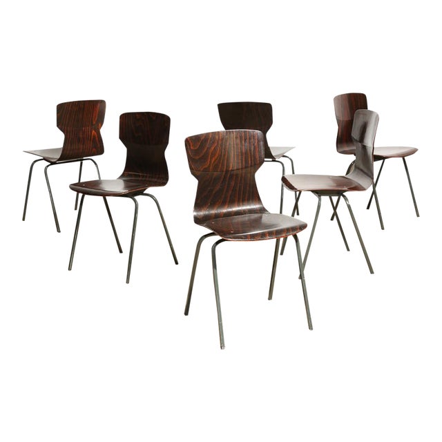 Set of 6 Vintage Bent Plywood Chairs Chairish