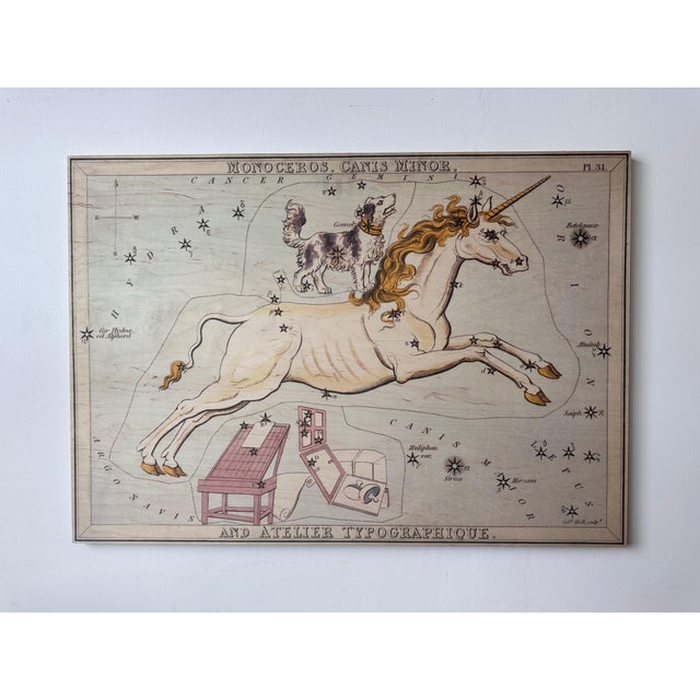 Monoceros and Canis Minor Constellation Map on Board Artwork For Sale - Image 12 of 12
