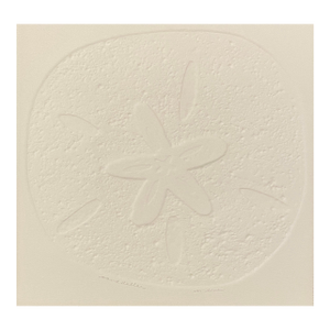 1970s Sand Dollar Embossed Etching by Line