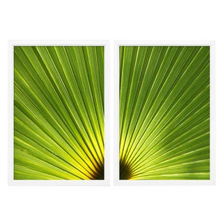 Ben Wood Leaf Diptych Photographs - A Pair For Sale