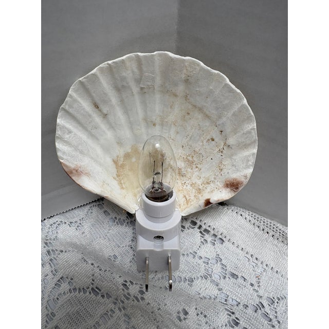 2010s Natural Beach House Seashell Adorned Nightlight For Sale - Image 5 of 11