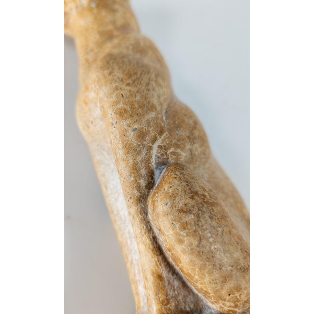 19th or 20th Century Egyptian Revival Faience Type Pottery Figure of a Seated Dog For Sale - Image 12 of 14