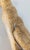 19th or 20th Century Egyptian Revival Faience Type Pottery Figure of a Seated Dog For Sale - Image 12 of 14