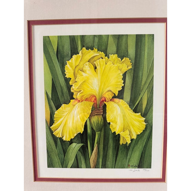 Manabu Saito Limited Edition Iris Botanical Floral Prints Signed Set of 2 Framed For Sale - Image 4 of 12