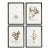 Framed Sepia-Tone Botanical Prints, Set Of 4 For Sale
