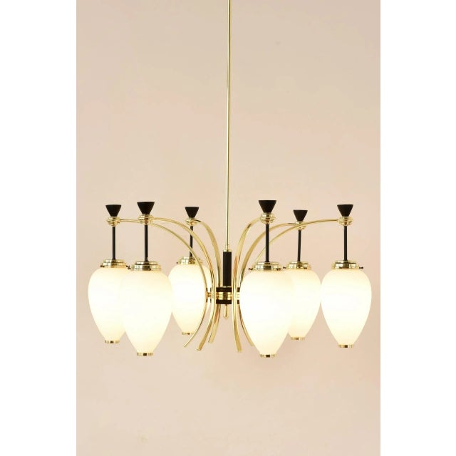 Stilnovo 6-Light Chandelier by Bruno Gatta for Stilnovo, 1950s For Sale - Image 4 of 14
