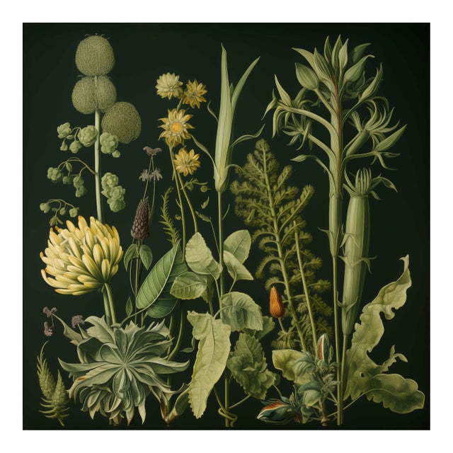 20' X 20' Original Watercolor Botanical Fine Art Print - Dark Green, Unframed For Sale