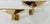 Postmodern 1980s Postmodern Pierre Disderot Verre Lumiere French Gold Wall Lamps - a Pair For Sale - Image 3 of 13