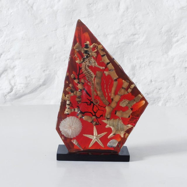 Mid-Century Resin Paperweight with Marine Inclusions, France, 1960s For Sale - Image 10 of 10