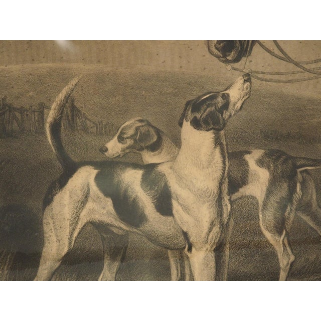 Light Gray The Master of Foxhounds, British Engraving by D. George Thompson For Sale - Image 8 of 18