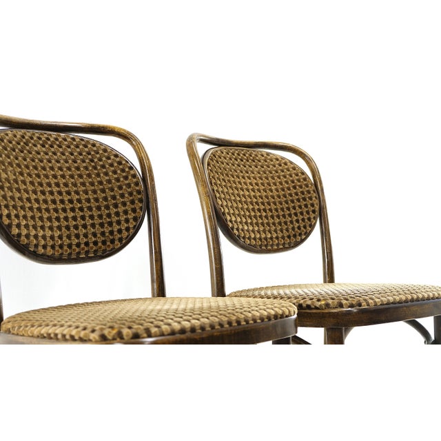 Vintage Bentwood Chairs, 1970s, Set of 4 For Sale - Image 3 of 8