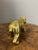 English Antique English Brass Bear For Sale - Image 3 of 5
