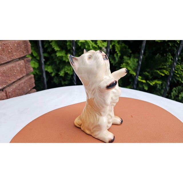 Beige Vintage Porcelain Dog, Połonne, Ukraine, 1970s For Sale - Image 8 of 8