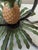 Vintage British Colonial Pineapple & Faux Bamboo Chandelier — Artist-Repainted by Anne Yates Burst, Indies Landing, Winter Park Fl For Sale - Image 9 of 16