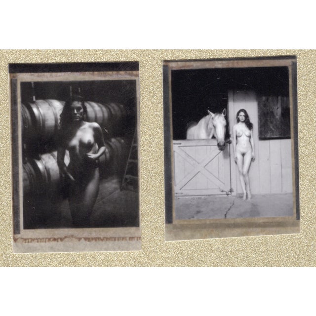 Contemporary Renée Jacobs, Female Nudes, Original Signed Polaroid Countertypes, Set of 4 For Sale - Image 3 of 6