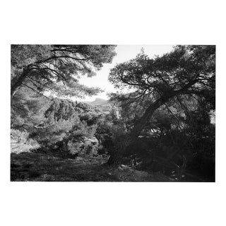 Paul Cooklin, Marseille, France 00259, Edition of 50 For Sale