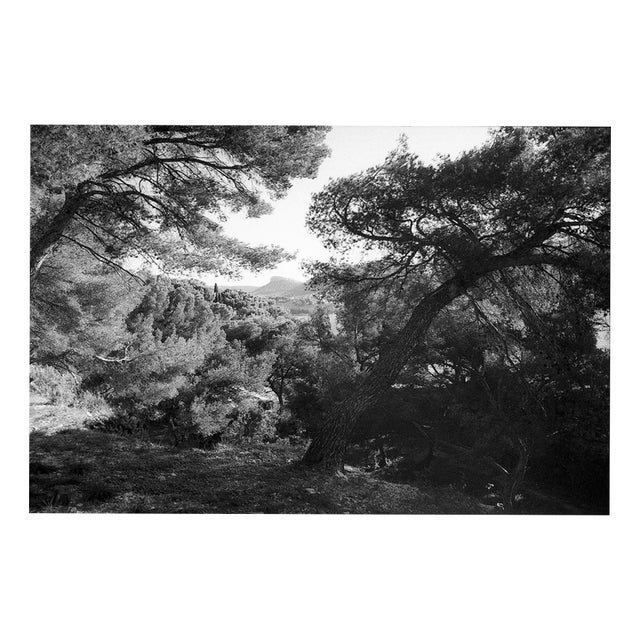 Paul Cooklin, Marseille, France 00259, Edition of 50 For Sale