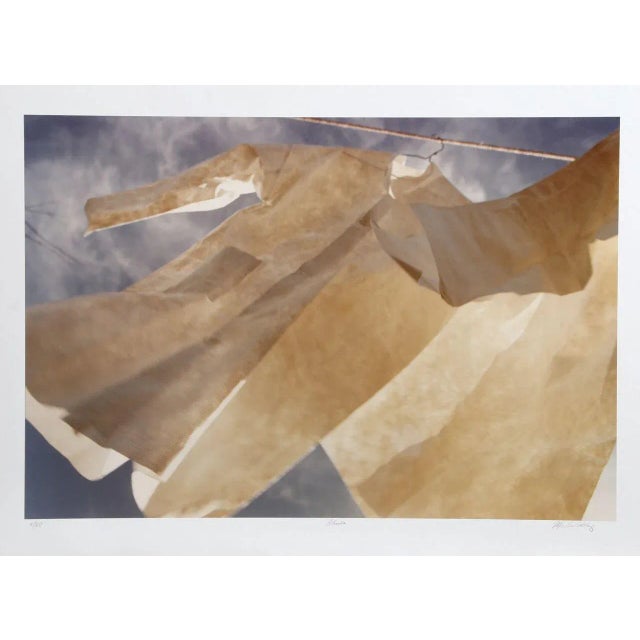 Michael DeCamp, "Rhumba," Photograph For Sale