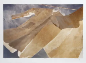 Michael DeCamp, "Rhumba," Photograph