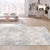 2020s Pasargad Home Mirage Grey Area Rug- 8' 9" X 11' 9" For Sale - Image 5 of 6