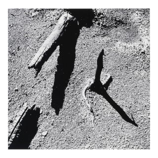 "Yellowstone Fire #7" - 1989. Gelatin Silver Print by Jacques Gael Cressaty For Sale