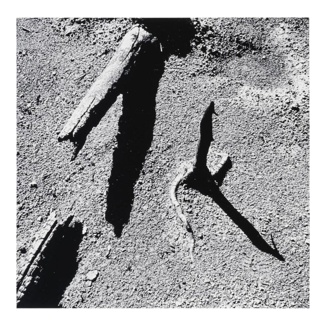 "Yellowstone Fire #7" - 1989. Gelatin Silver Print by Jacques Gael Cressaty For Sale