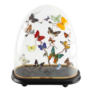 Le Printemps By Hasharat For Sale