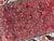 Antique Bidjar Rug, 1890s For Sale - Image 11 of 18
