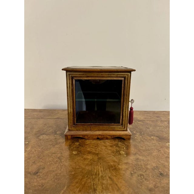 Brown Victorian Burr Walnut and Brass Table Cabinet, 1860s For Sale - Image 8 of 8