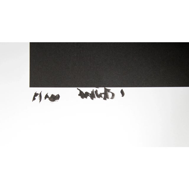 Photorealism Dahlia, Jonathan Singer, Photography For Sale - Image 3 of 4