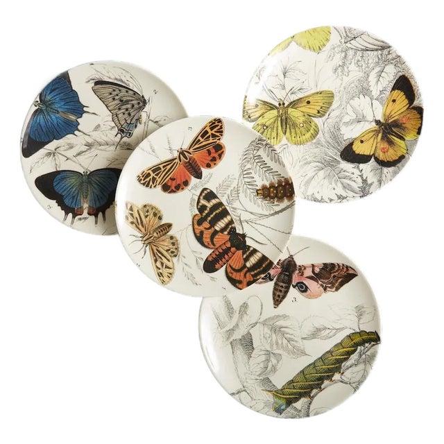 Specimen Butterfly Side Plates, Set of 4 For Sale