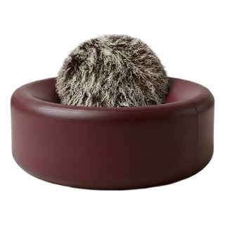 The Stargazer Sofa For Sale