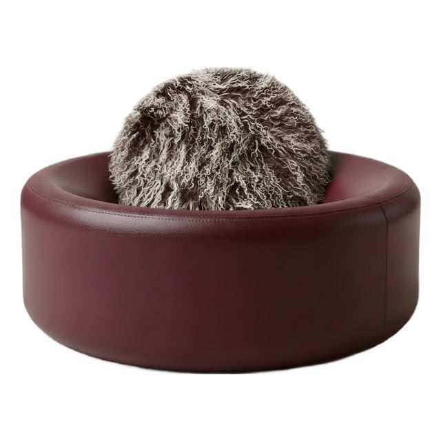 The Stargazer Sofa For Sale