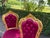 A refined set of 4 late 20th-century French Louis XVI-style dining chairs, handcrafted from solid beech wood and finished...