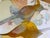 2020s “Thrashers and Flowers” a Fun Bird Painting by LWren Walraven For Sale - Image 5 of 16