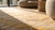 Peach 1930s Orange Peach Geometric Herati Antique Indian Cotton Agra Rug 4'7" X 7'2" Handknotted Wool Carpet For Sale - Image 8 of 9