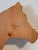 Brown 1980s Hand Carved Wood Signed Horse "Neil Korpinen" For Sale - Image 8 of 8