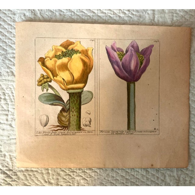 Authentic Charming Set of Seven 19th Century Hand Colored Botanical Flower Prints on Paper For Sale - Image 9 of 9